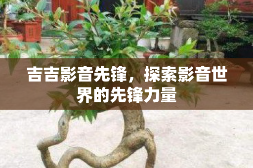 吉吉影音先锋，探索影音世界的先锋力量