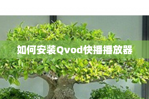 如何安装Qvod快播播放器 如何安装Qvod快播播放器
