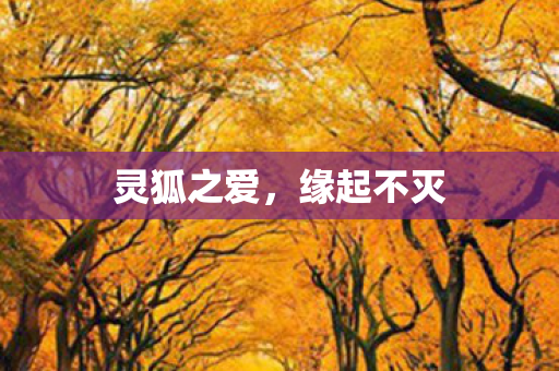 灵狐之爱，缘起不灭