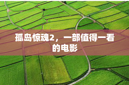 孤岛惊魂2，一部值得一看的电影