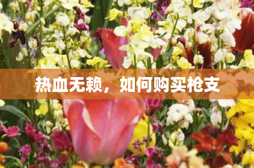 热血无赖,如何购买枪支 热血无赖,如何购买枪支