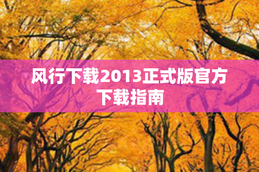 风行下载2013正式版官方下载指南