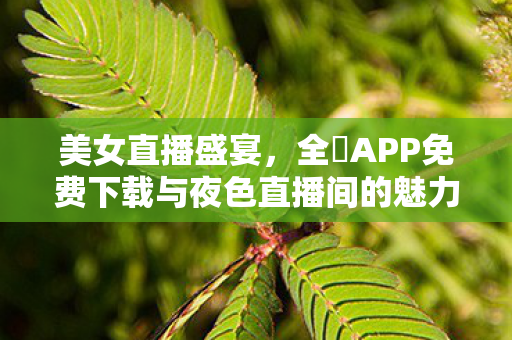 美女直播盛宴，全婐APP免费下载与夜色直播间的魅力