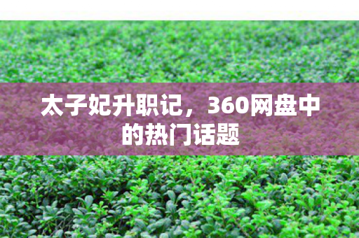 太子妃升职记，360网盘中的热门话题