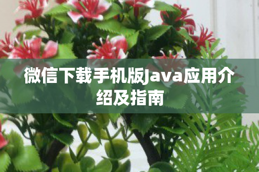微信下载手机版Java应用介绍及指南