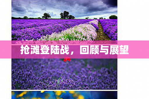 抢滩登陆战,回顾与展望 抢滩登陆战,回顾与展望