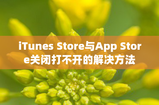 iTunes Store与App Store关闭打不开的解决方法 iTunes Store与App Store关闭打不开的解决方法