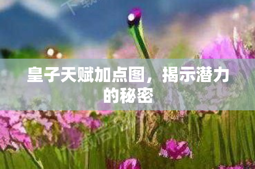 皇子天赋加点图，揭示潜力的秘密