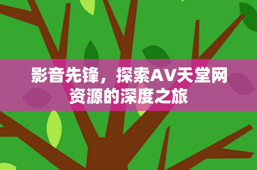 影音先锋，探索AV天堂网资源的深度之旅