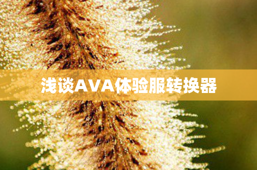 浅谈AVA体验服转换器