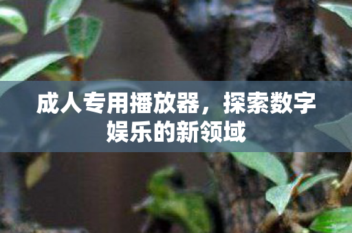 成人专用播放器，探索数字娱乐的新领域