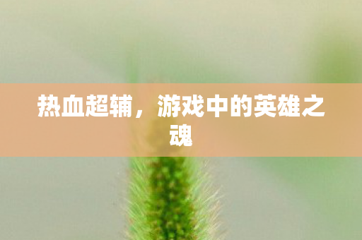 热血超辅，游戏中的英雄之魂