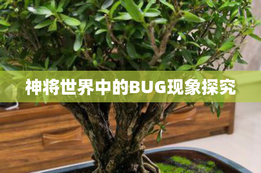 神将世界中的BUG现象探究