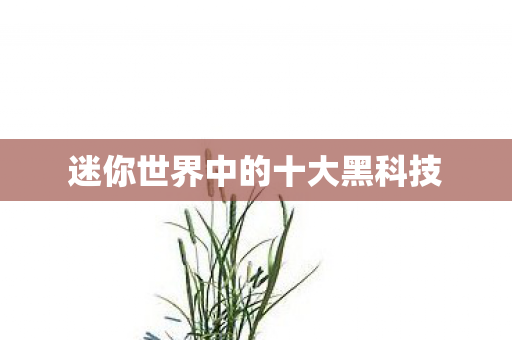 迷你世界中的十大黑科技