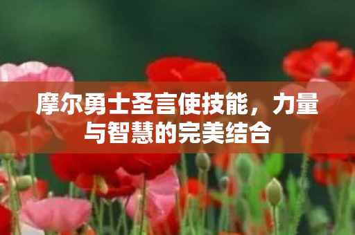 摩尔勇士圣言使技能，力量与智慧的完美结合