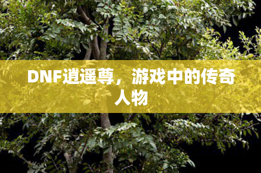 DNF逍遥尊，游戏中的传奇人物