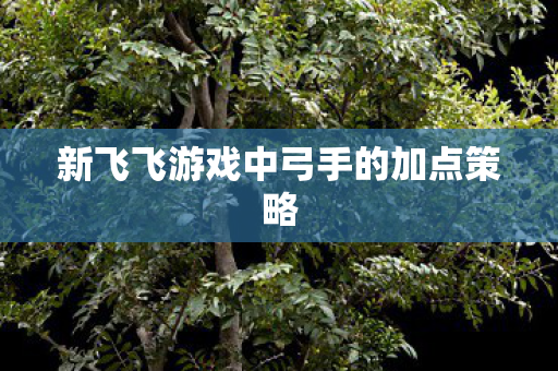 新飞飞游戏中弓手的加点策略