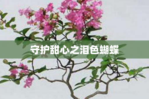 守护甜心之泪色蝴蝶