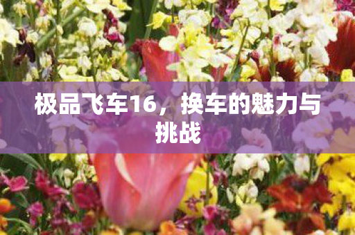 极品飞车16，换车的魅力与挑战