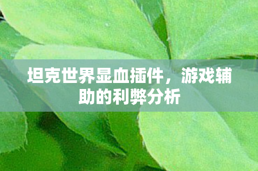 坦克世界显血插件，游戏辅助的利弊分析