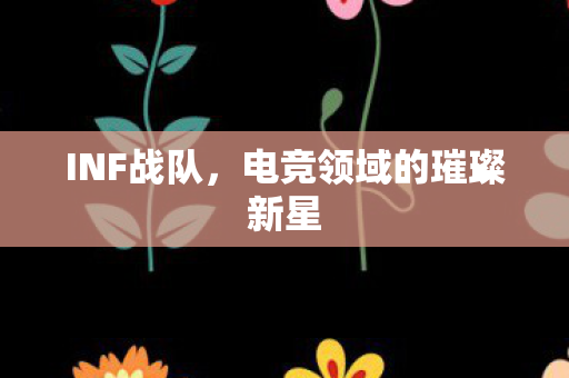 INF战队，电竞领域的璀璨新星