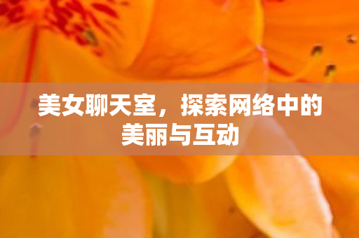 美女聊天室，探索网络中的美丽与互动
