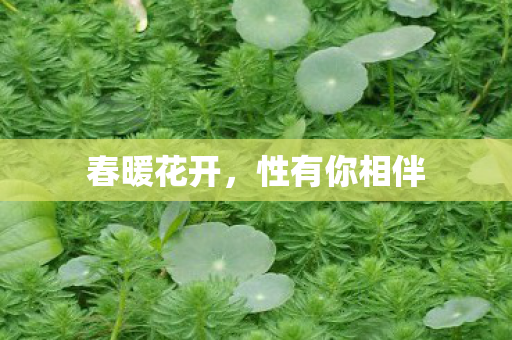 春暖花开，性有你相伴