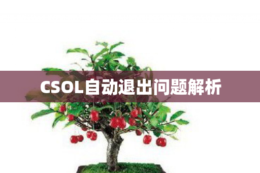CSOL自动退出问题解析