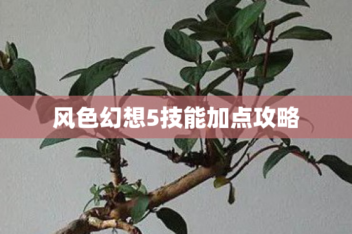 风色幻想5技能加点攻略