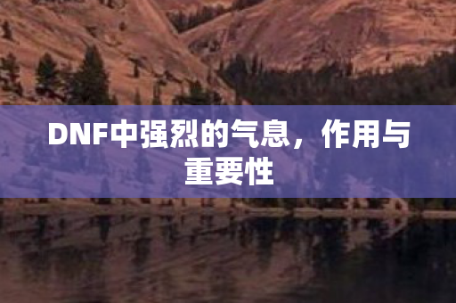 DNF中强烈的气息，作用与重要性