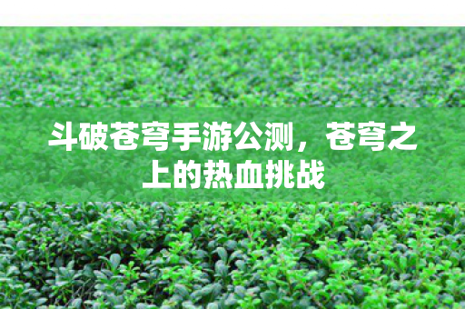 斗破苍穹手游公测，苍穹之上的热血挑战