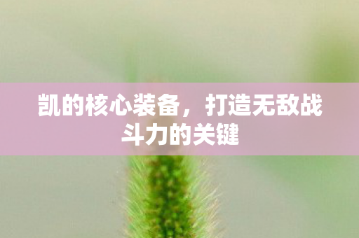 凯的核心装备，打造无敌战斗力的关键