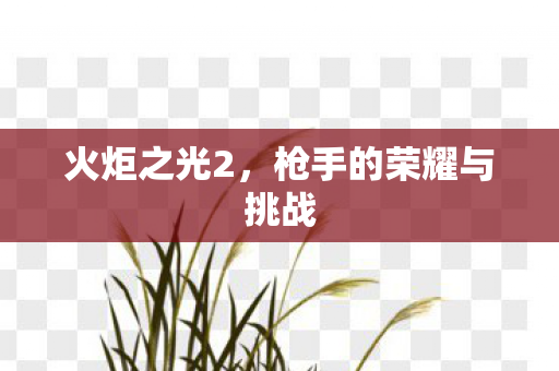 火炬之光2，枪手的荣耀与挑战