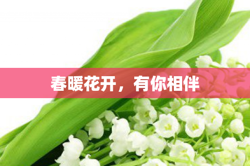 春暖花开，有你相伴