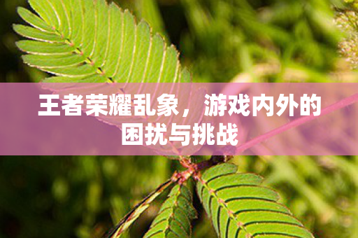 王者荣耀乱象，游戏内外的困扰与挑战