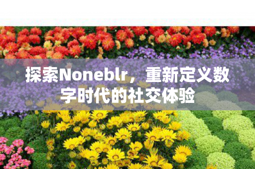 探索Noneblr，重新定义数字时代的社交体验