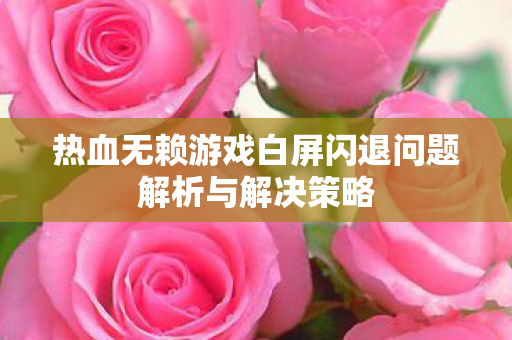热血无赖游戏白屏闪退问题解析与解决策略