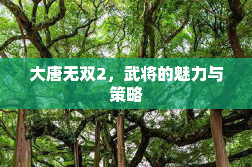 大唐无双2,武将的魅力与策略 大唐无双2,武将的魅力与策略