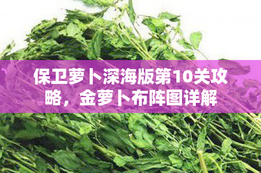 保卫萝卜深海版第10关攻略,金萝卜布阵图详解 保卫萝卜深海版第10关攻略,金萝卜布阵图详解