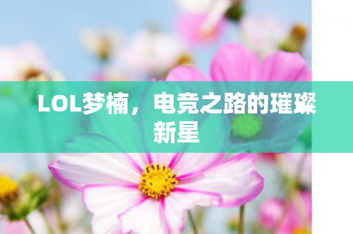 LOL梦楠，电竞之路的璀璨新星