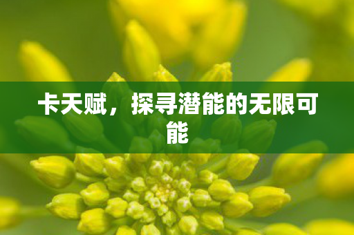 卡天赋,探寻潜能的无限可能 卡天赋,探寻潜能的无限可能