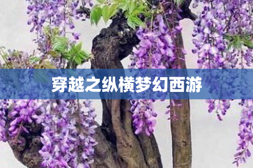 穿越之纵横梦幻西游