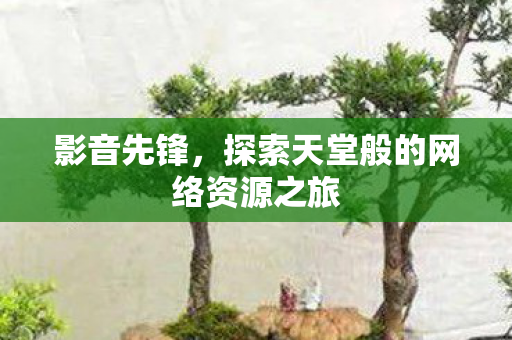影音先锋，探索天堂般的网络资源之旅