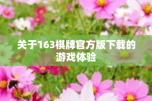 关于163棋牌官方版下载的游戏体验