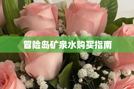 冒险岛矿泉水购买指南