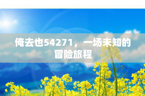 俺去也54271，一场未知的冒险旅程