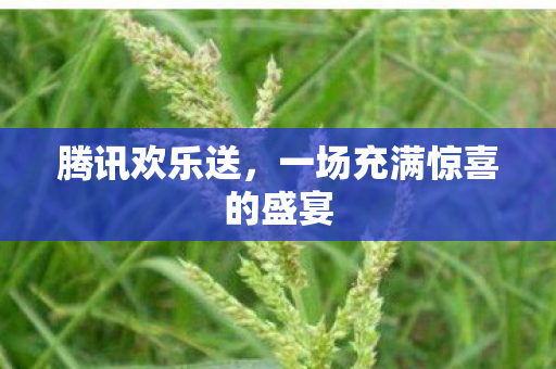 腾讯欢乐送，一场充满惊喜的盛宴