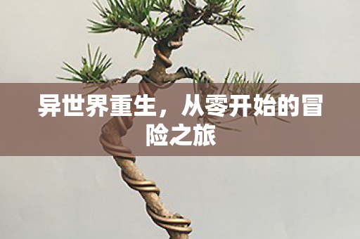 异世界重生，从零开始的冒险之旅