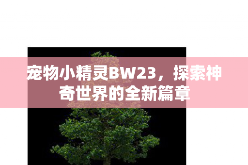 宠物小精灵BW23，探索神奇世界的全新篇章