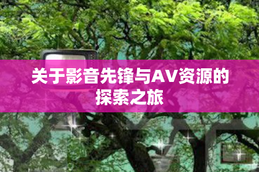 关于影音先锋与AV资源的探索之旅